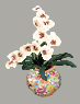 orchids