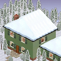 roof in winter
